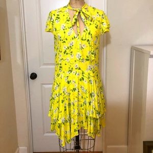 Alice and Olivia Primrose Flutter Dress